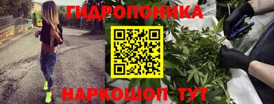 СК Конаково