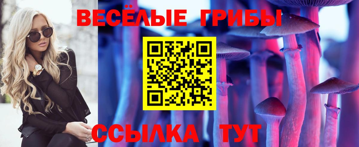 Галлюциногенные грибы GOLDEN TEACHER  Вход с VPN  Псилоцибиновые грибы мицелий  Шахты 